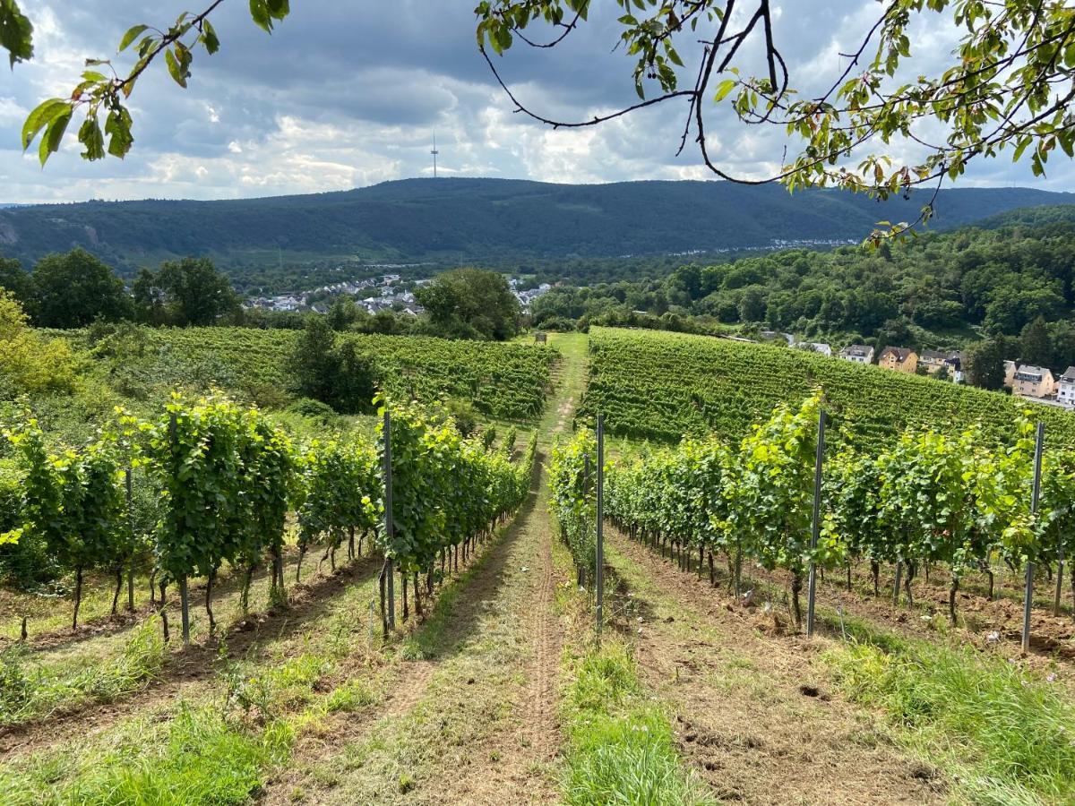 Lieblingsplatz Koblenz Villa Кобленц Екстериор снимка